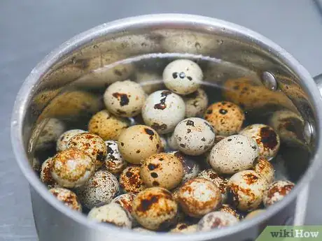 Image titled Cook Quail Eggs Step 1