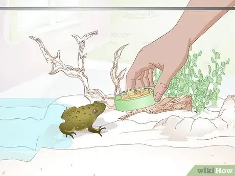 Image titled Raise Frogs Step 26