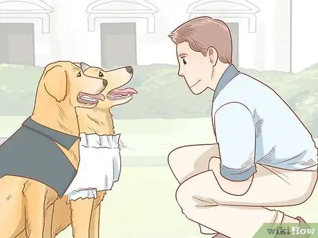 Image titled Host a Dog Wedding Step 2