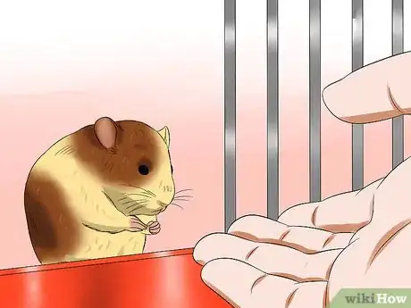 Image titled Care for a Hamster That Bites Step 5