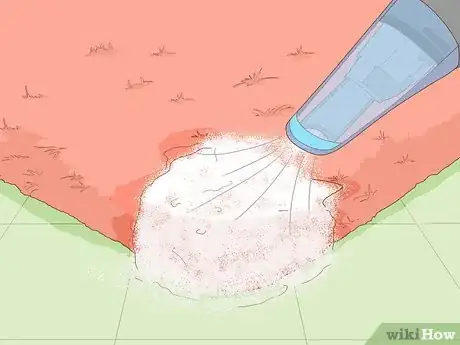 Image titled Remove Urine Smell from Carpet Step 8