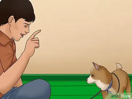 Image titled Get a Dog to Listen Step 6