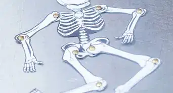 Make a Human Skeleton out of Paper