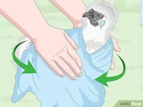 Image titled Care For Silkie Chickens Step 15