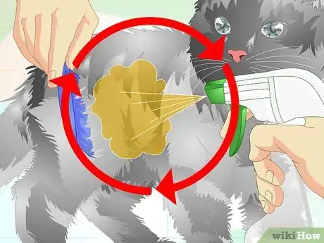 Image titled Make an Herbal Flea Remedy for Cats Step 9