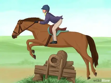 Image titled Build a Better Bond with Your Horse Step 7