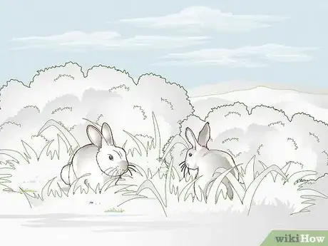 Image titled Hunt Rabbit Step 13