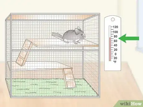 Image titled Keep a Chinchilla Calm Step 2