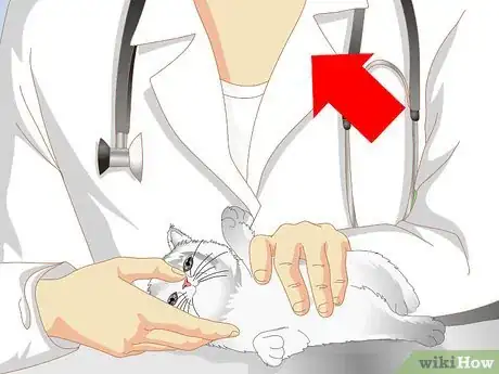 Image titled Get Your Kitten to Eat Step 15