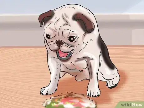 Image titled Tell if Your Dog Has Parvo Step 5