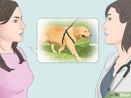 Image titled Treat Obesity in Labrador Retrievers Step 8