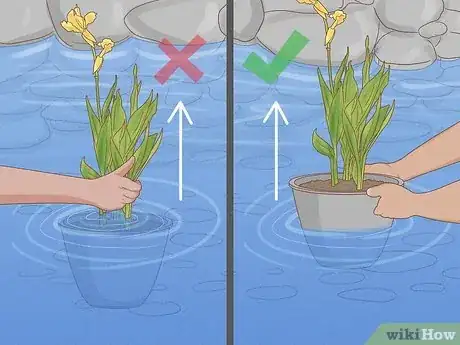 Image titled Plant Aquatic Plants Step 24