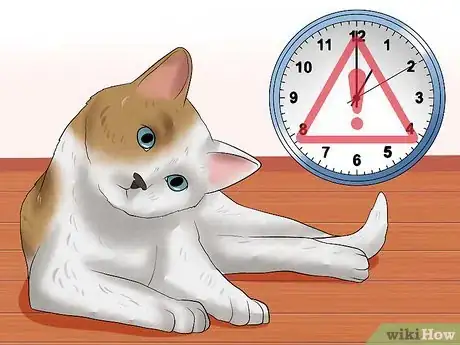 Image titled Identify if Your Cat Has Had a Stroke Step 10