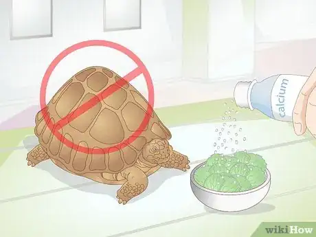 Image titled Take Care of a Baby Tortoise Step 12