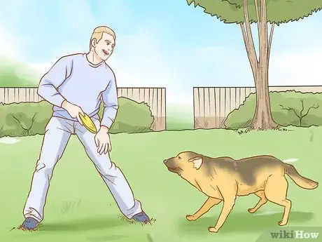 Image titled Stop Your Dog from Waking You Up at Night Step 4