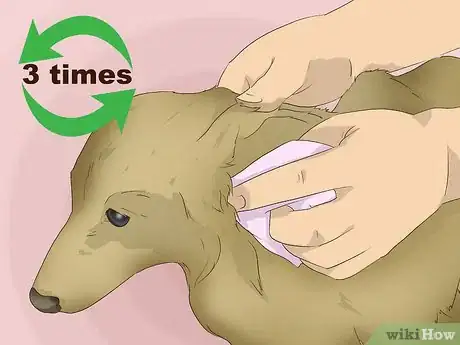 Image titled Make an Oatmeal Bath for a Dog Step 11