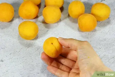 Image titled Freeze Apricots Step 1