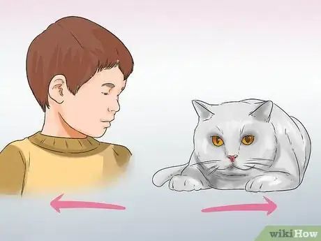 Image titled Know if a Child Is Allergic to Cats Step 4