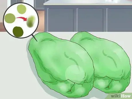 Image titled Select and Use Chokos (Chayote Squash) Step 2