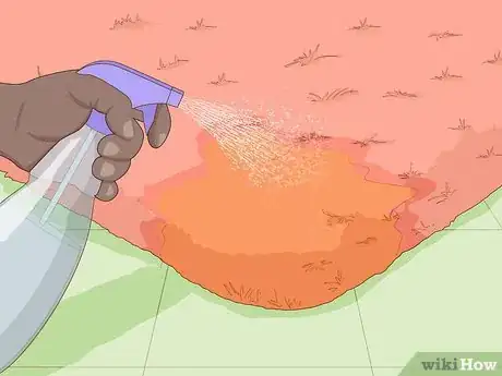 Image titled Remove Urine Smell from Carpet Step 3