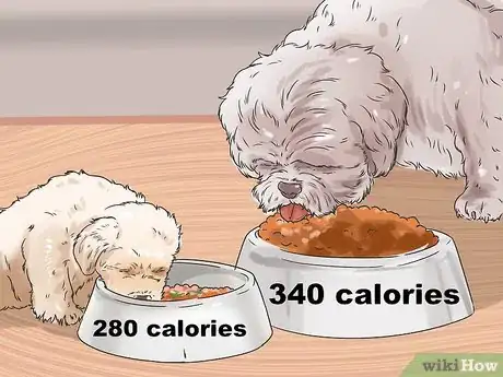 Image titled Feed Your Shih Tzu Step 2