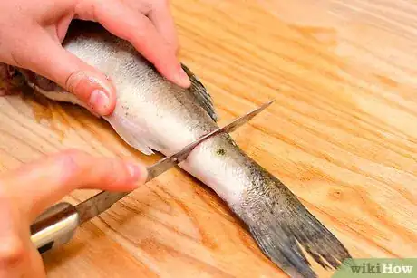 Image titled Fillet a Rainbow Trout Fish Step 6