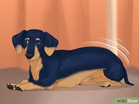 Image titled Tell if a Dog Is in Pain Step 4