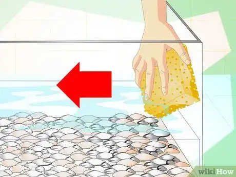 Image titled Fix Cloudy Aquarium Water Step 3