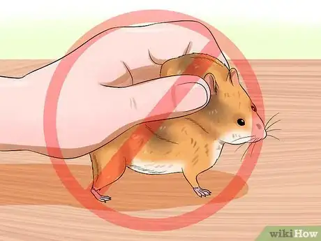 Image titled Hold Your Syrian Hamster Step 10