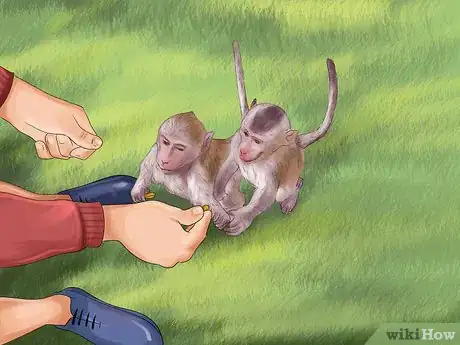 Image titled Prevent or Survive a Monkey Attack Step 3