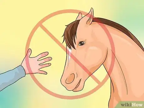 Image titled Calm Down a Spooked Horse Step 15