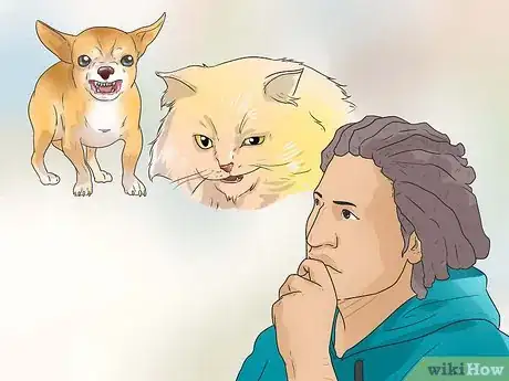 Image titled Make Your Dog Like Your Cat Step 17