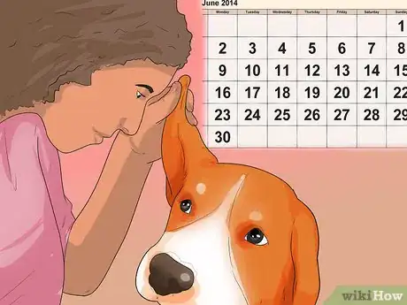 Image titled Diagnose Ear Infections in Beagles Step 15