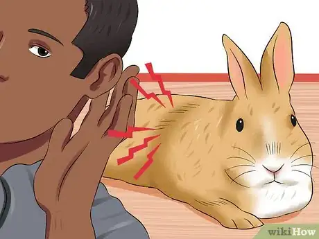 Image titled Treat Digestive Problems in Rabbits Step 5