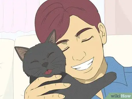 Image titled Identify a Bombay Cat Step 13