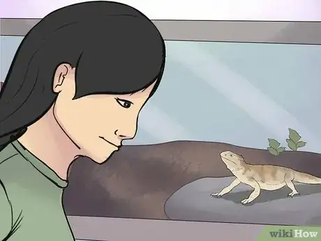 Image titled Train a Bearded Dragon Step 1