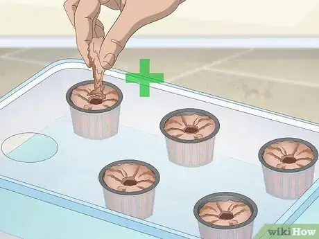 Image titled Start a Hydroponic Garden in Your Apartment Step 12