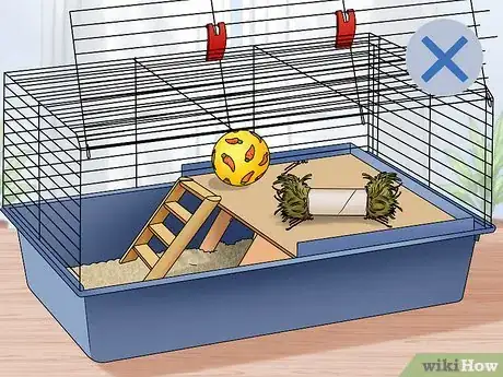 Image titled Play with a Guinea Pig Step 8