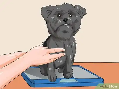 Image titled Check Your Dog's Weight Step 6