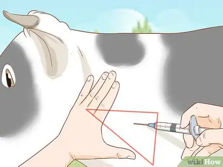 Image titled Give Cattle Injections Step 23