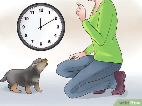 Image titled Train Your Rottweiler Puppy With Simple Commands Step 5