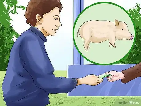 Image titled Care for a Pet Pig Step 1