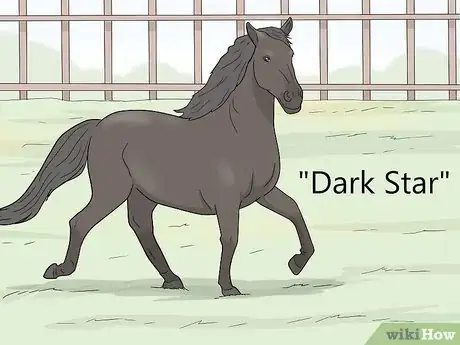 Image titled Think of a Show Name for Your Horse or Pony Step 9