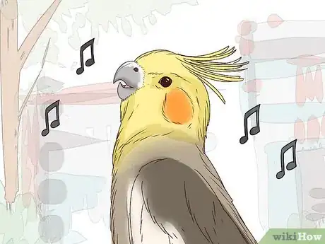 Image titled Understand Cockatiel Gestures Step 3