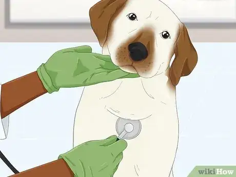 Image titled Dye Your Pet Step 2