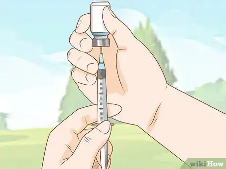 Image titled Give Cattle Injections Step 13