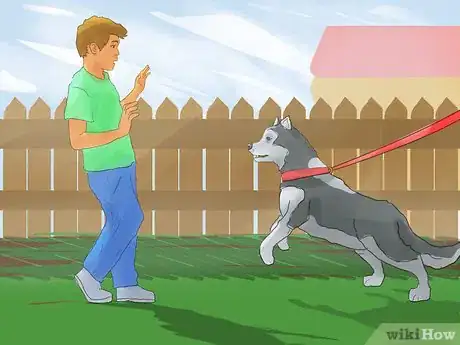 Image titled Train a Siberian Husky Step 13