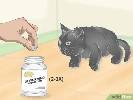 Image titled Eliminate Roundworms in Cats Step 5