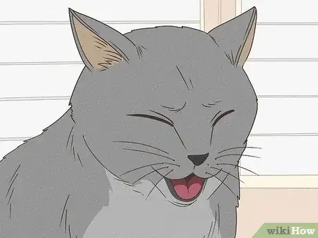 Image titled Tell if a Cat Has a Sore Throat Step 3