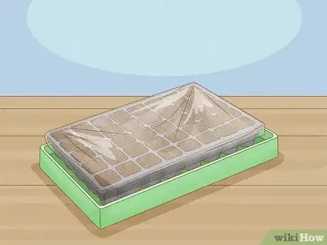 Image titled Plant Seeds in a Basic Seed Tray Step 12